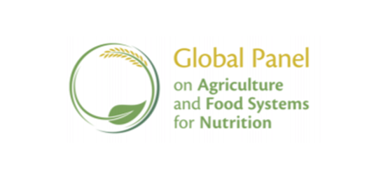 logo Global Panel on Agriculure and Food Systems for Nutrition