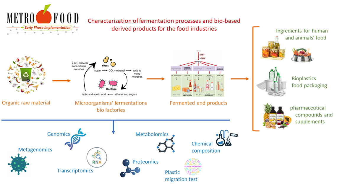 fermentation processes 