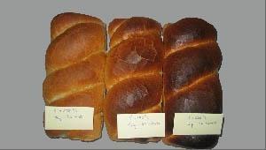 Bread processing (different temperatures and times)