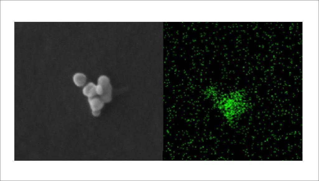  Nanoparticles (E174 silver additive) in food by TEM