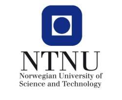 NTNU - Norwegian University of Science and Technology 