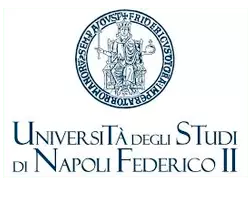 UNINA - University of Naples Federico II 