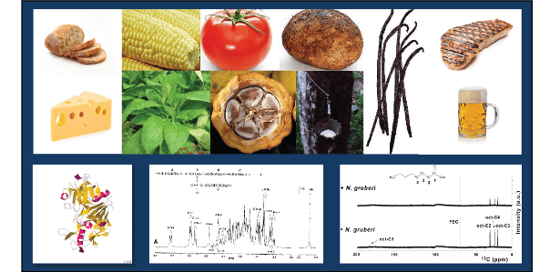 iNEXT-Discovery / METROFOOD-RI - Call for 'agri-food' proposals!