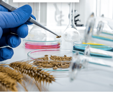 Future Science Recommendations for Food and Agriculture